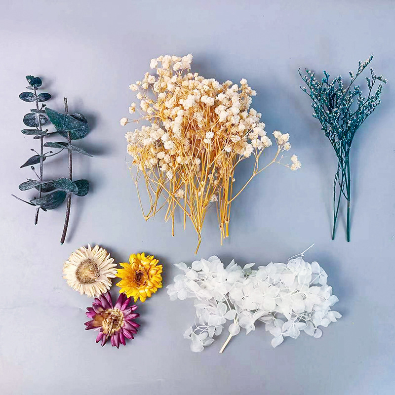 Craft Embellishment - 1 Packung verschiedene getrocknete Blumen-Set für