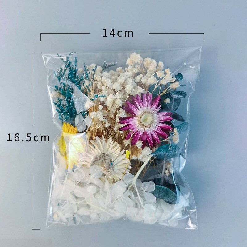 1 Packung verschiedene getrock – Craft Embellishment Bewertung und Preis